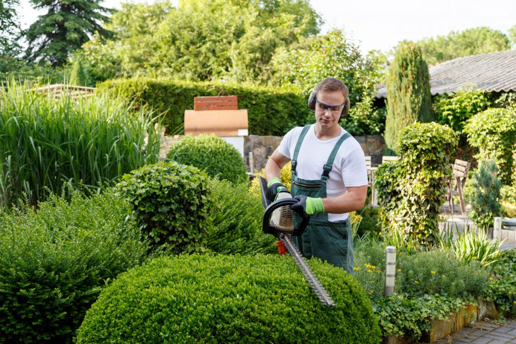 Gartenpflege und Gartenneuanlage